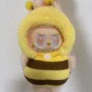 Stellaの画像