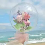 vanillaの画像