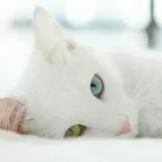 ひー 【値下げ交渉ごめんなさい】の画像