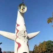 平日発送の画像