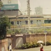 ぽんの画像