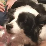 ショウタ