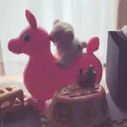 mero