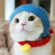 一護の画像