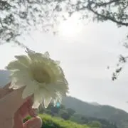 Ss