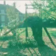 夏樺【プロフ必読】の画像