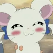 とっとこはむちゃんの画像