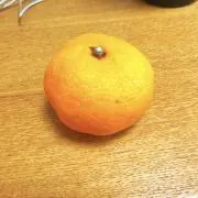 かぁちゃんの画像