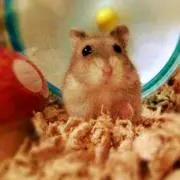 りーちゃん✳︎の画像