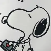 Naaの画像