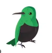 はちどり