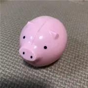 サッサ