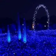みんの