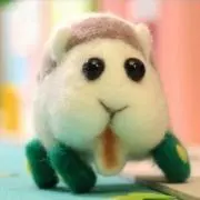 Amiの画像