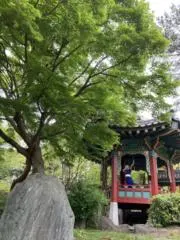そよの画像