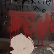 げりんだりあの画像