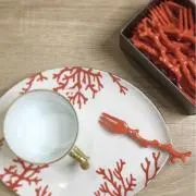QCの画像