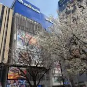 ぴなぴな