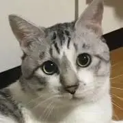 一郎＊