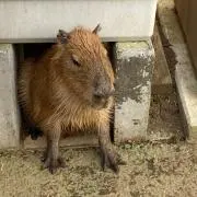 るいの画像