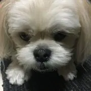 たく@