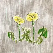 ☆美品☆ SOÉJU ソージュ ブラウン ボアベスト - メルカリ