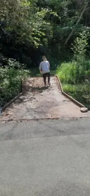 ふっちーの画像