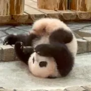 パンの画像
