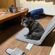 この際断捨離
