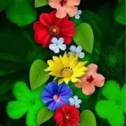 HYOU