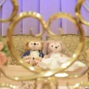 櫻 ✿ プロフ必読の画像
