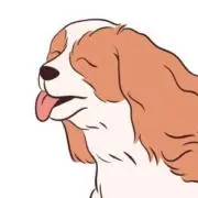 yamatomusashiの画像
