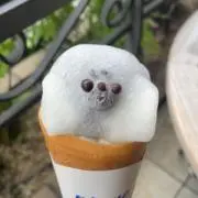 まあやの画像
