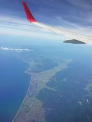 ぱるる 即購入◎の画像