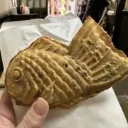 たいやき君の画像