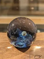 ふぐの画像