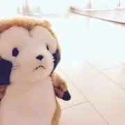 ラスの画像