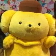 sachiの画像