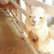 たけちゃん
