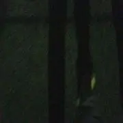 スローボブ