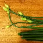 Daisukeの画像