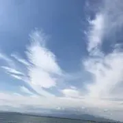 ncrms5の画像