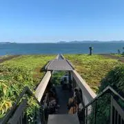 もち