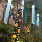 Vamosの画像