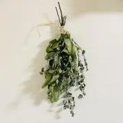 AYAの画像