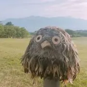 はるかの画像