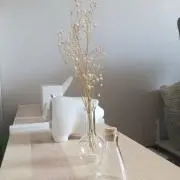 pokoの画像