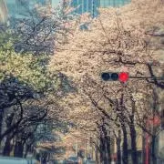 akabeko@