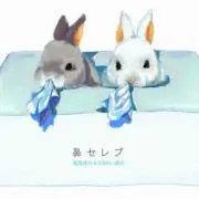 うさまる