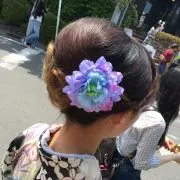 かえでの画像